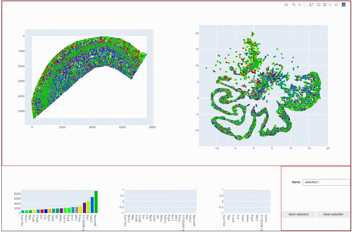 ../_images/radiatum.gif