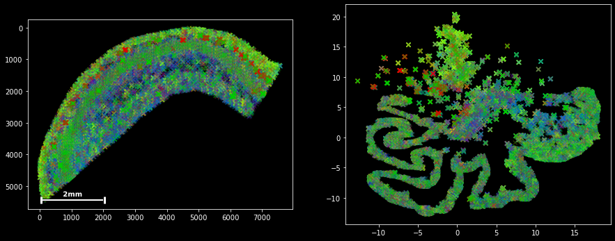 ../_images/umap_paired.png